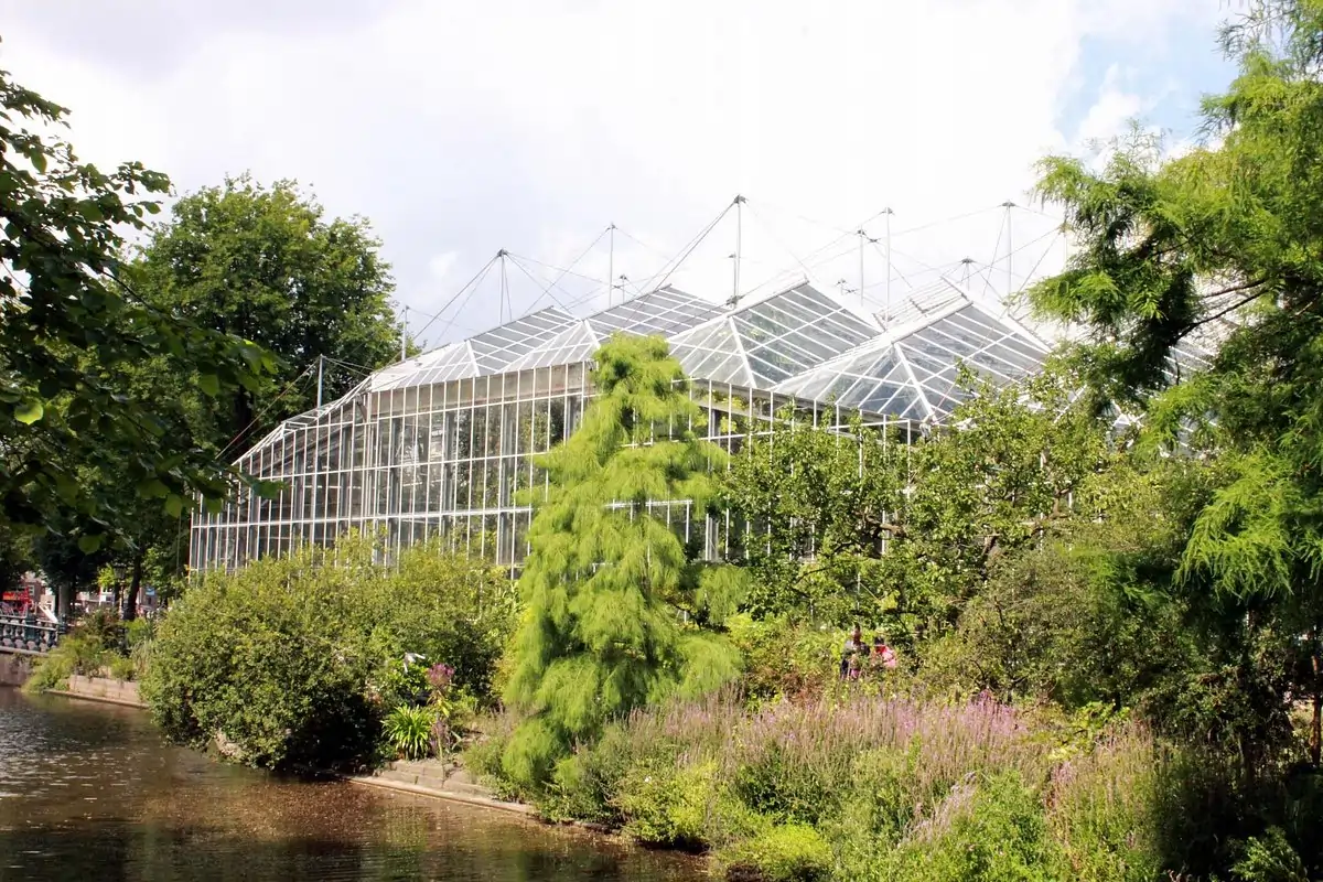 Lush tropical greenhouse with rare plants and sunlight streaming through glass domes at Hortus Botanicus Amsterdam.