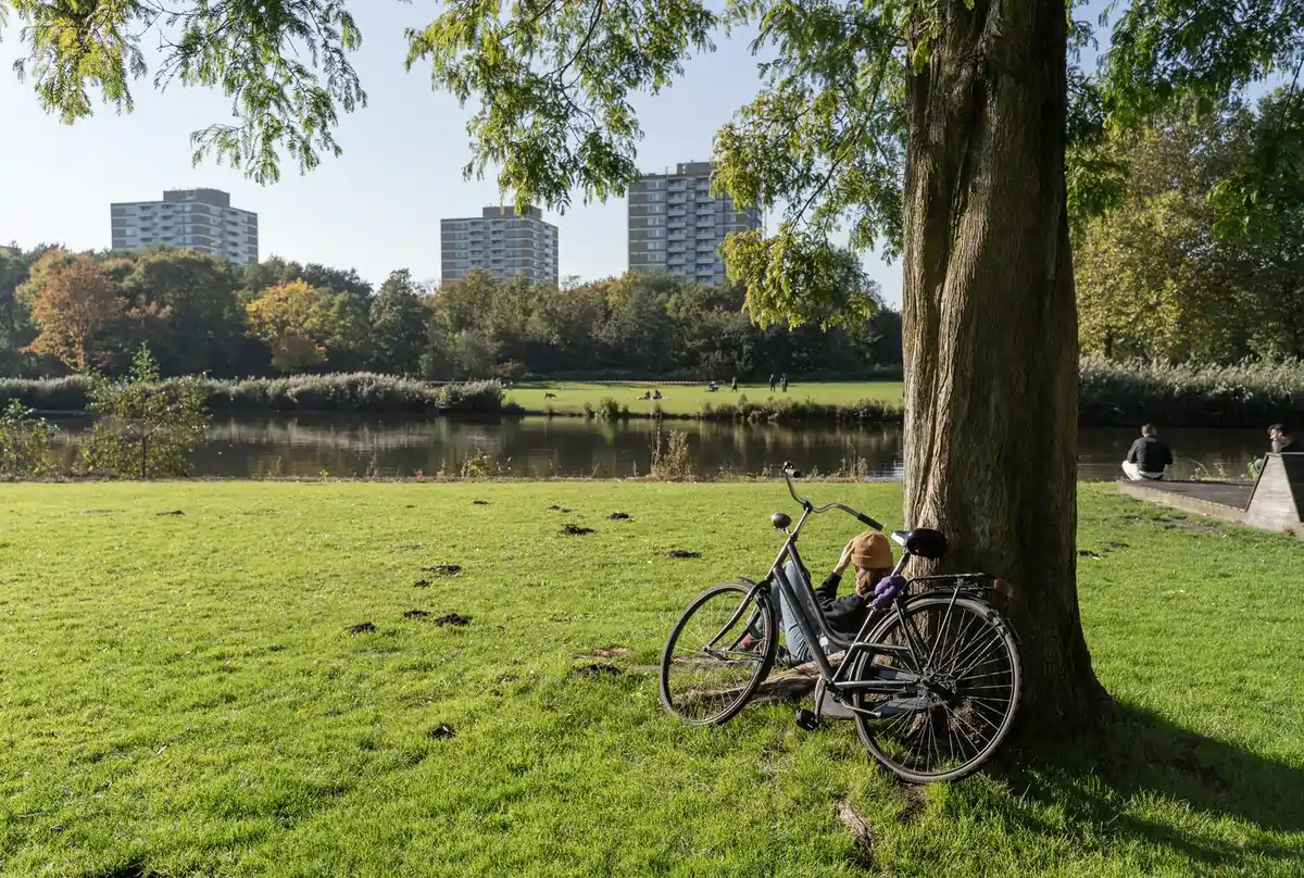 Wooded paths and small ponds in Rembrandtpark, Amsterdam, with cyclists and dog walkers passing through.