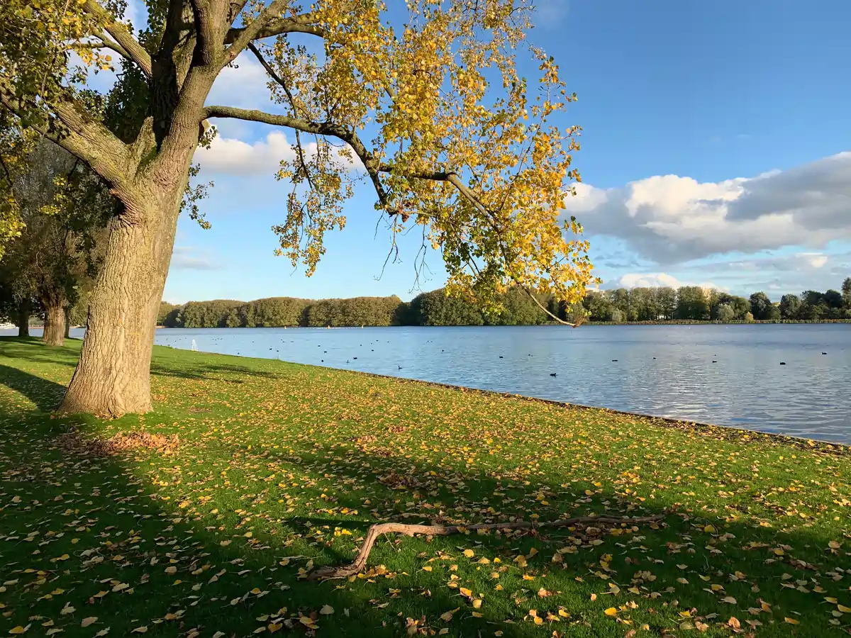 View across Sloterplas Lake in Amsterdam with swimmers, sailboats and tree-lined walking paths.