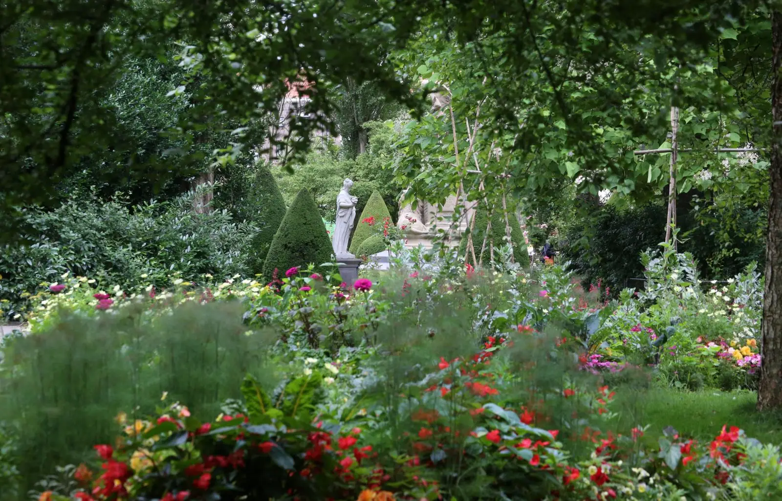 Botanical Garden-ARTIS Amsterdam Zoo