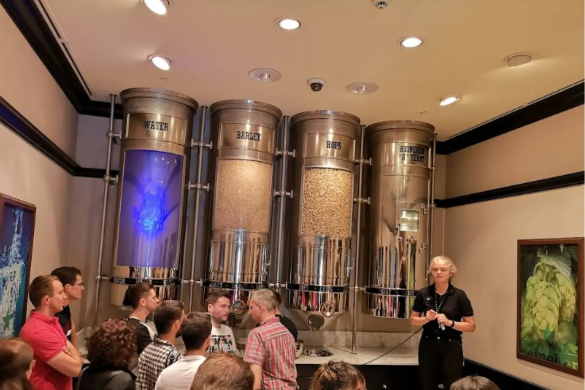 Brewing Section Explain Beer Production